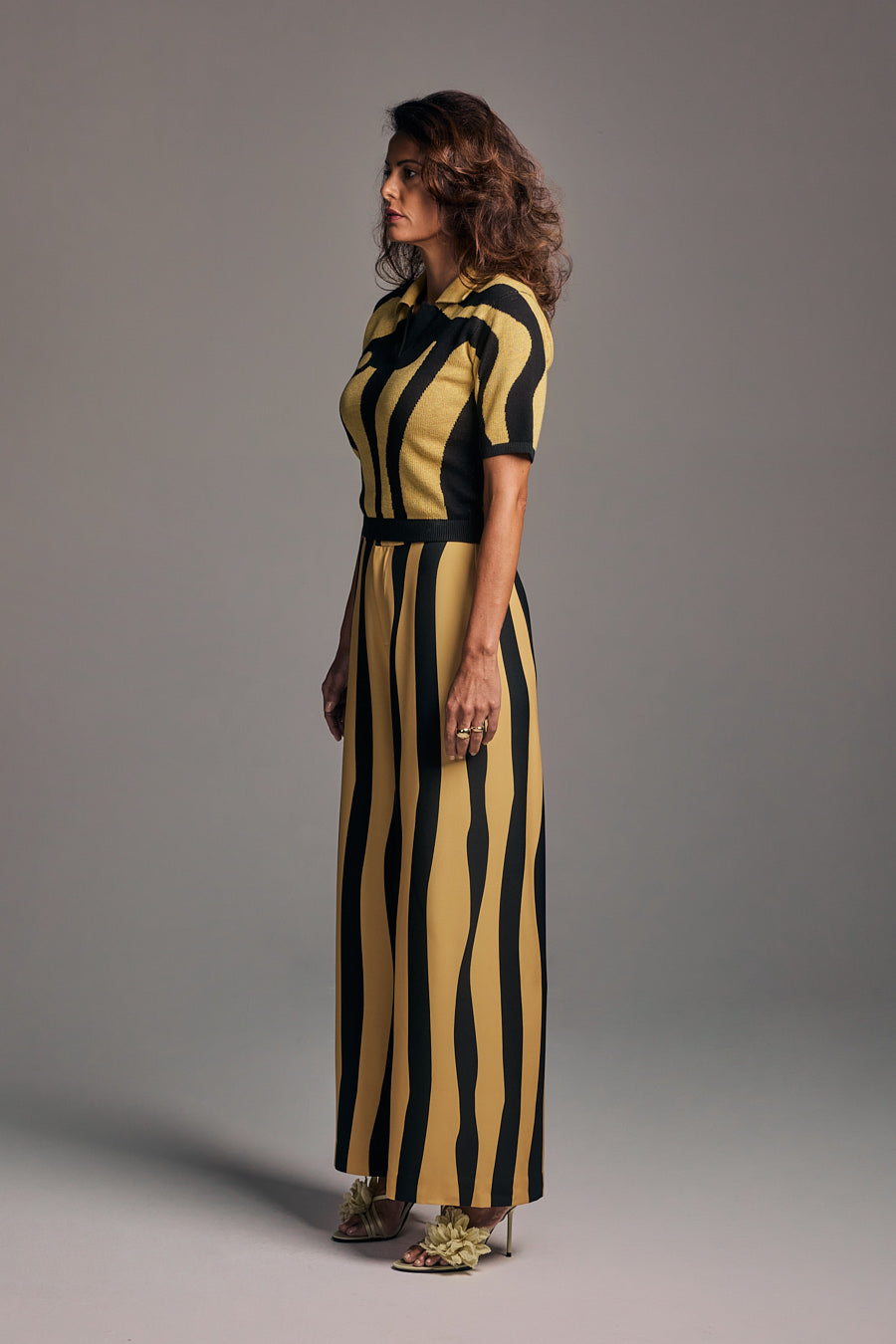 Stylish High-Waisted Stripes Palazzo. - Shantall Lacayo